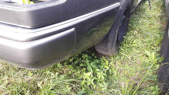 Aperçu des activités de la casse automobile CASSE AUTO SARPY-EDOUIDI située à FUMEL (47500)